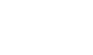 bpi solutions Logo