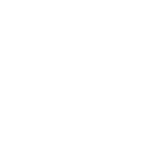 BOHLIG SOLUTIONS Logo